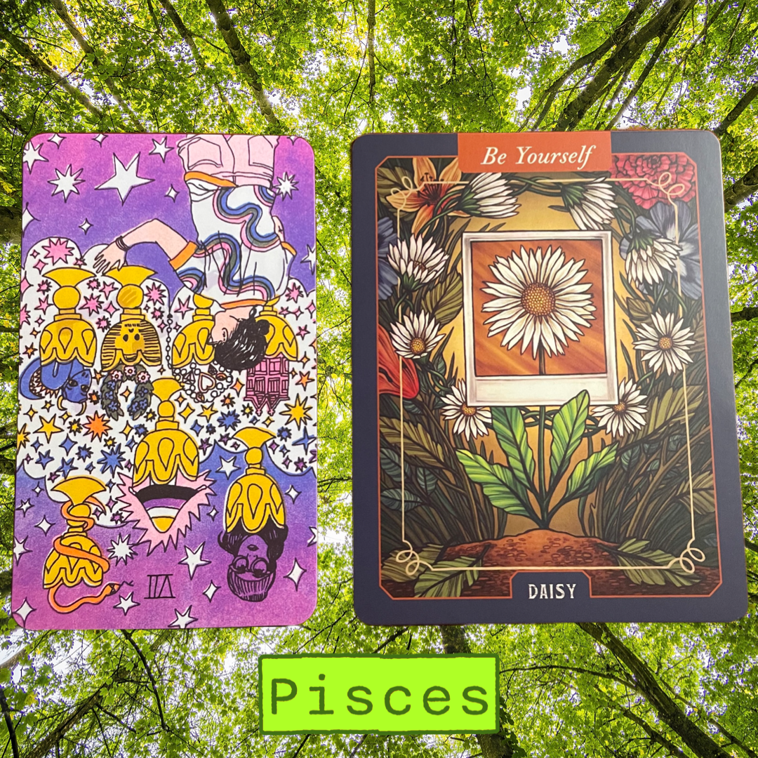 Background is a photo of green, leafy treetops. Two cards are shown above the caption “Pisces.” The upside down tarot card is the 7 of Cups reversed. The card shows a person staring at a cloud filled with 7 cups. There is a big house in one cup, one is overflowing with jewels, one has a victory wreath, one has a sweet looking dragon/serpent with horns, one has the nonbinary pride flag colors, one has a snake wrapping around it, one has a person's face, perhaps of the person looking up at all the cups. The oracle card reads, "Be Yourself. Daisy," and shows a daisy growing out of the ground, the flowering part framed in a polaroid picture. A chain of daisies form a wreath around the central daisy.